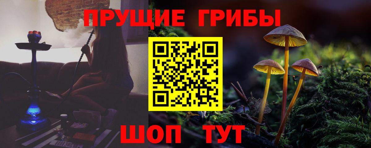 где купить наркотик  Вход с VPN  Котельники  Псилоцибиновые грибы Psilocybine cubensis  Галлюциногенные грибы GOLDEN TEACHER 